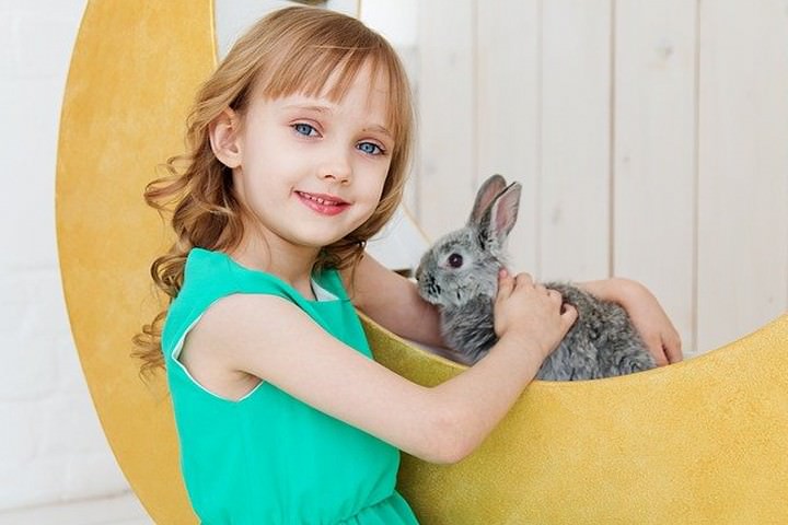子供とアンゴラウサギ